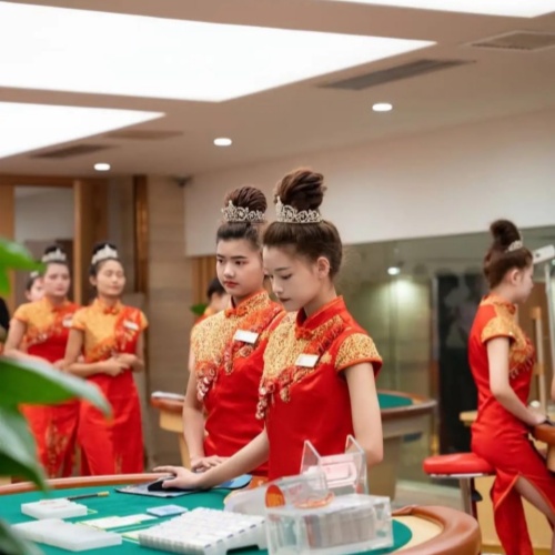 华纳公司客服团队